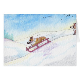 彼は速度の魔神でした