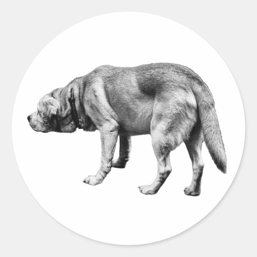 彼は道を知っている ラウンドシール (正面)