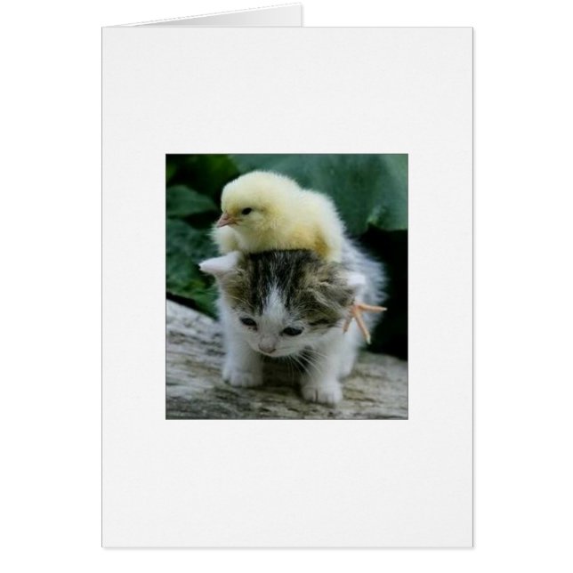 彼は重くないです; 彼は私の兄弟です (正面)