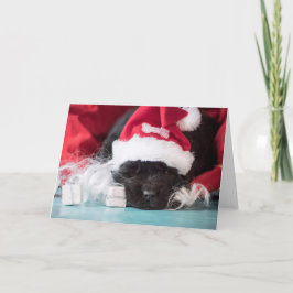 彼は「鼻：あなたもしはカードだいけなった シーズンカード