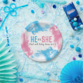 彼または彼女はベビーの性発煙弾のパーティーを明らかにします ペーパープレート (パーティー)