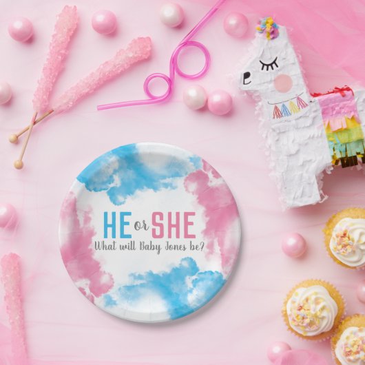 彼または彼女はベビーの性発煙弾のパーティーを明らかにします ペーパープレート (パーティー)