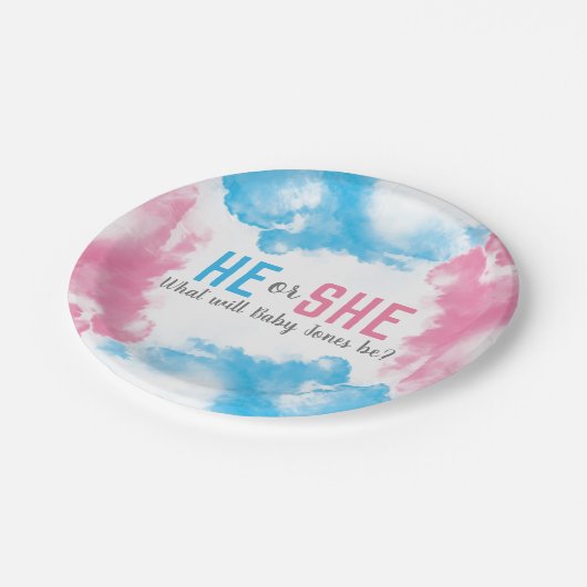 彼または彼女はベビーの性発煙弾のパーティーを明らかにします ペーパープレート (アングル)