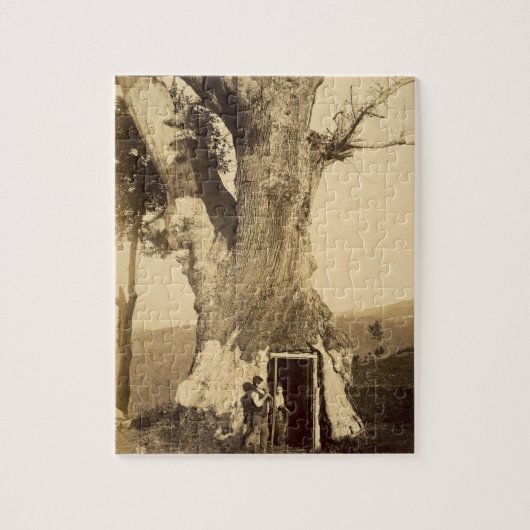 彼らのツリーハウスの戸口の2人の男の子、c.1870 ジグソーパズル (縦)