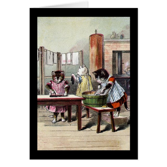 彼らのミトンを洗浄している子ネコ (正面)