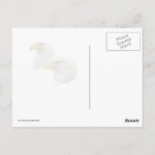 彼らの巣の中の禿げたワシの群れ ポストカード (裏面)