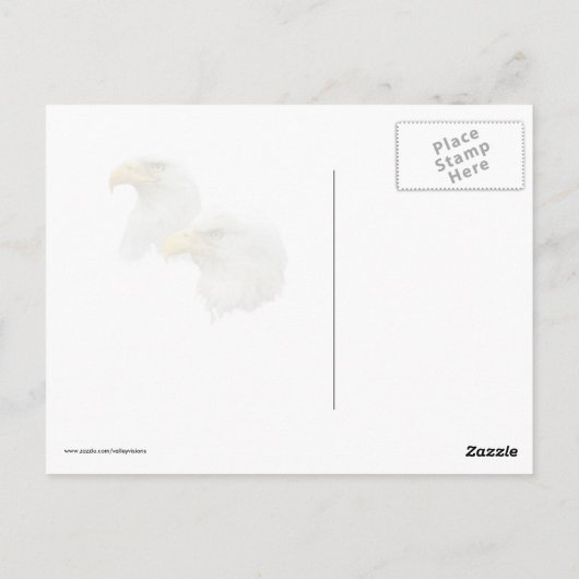 彼らの巣の中の禿げたワシの群れ ポストカード (裏面)
