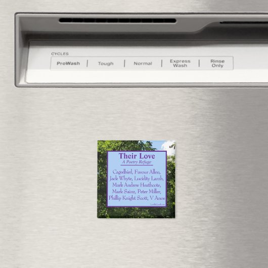 彼らの愛、磁石 マグネット (インサイチュ (食洗機))