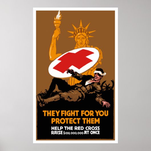 彼らは彼らのために保護戦う ポスター (正面)