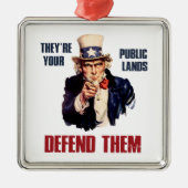 彼らは彼らを守る公の土地だサムおじさん メタルオーナメント (正面)