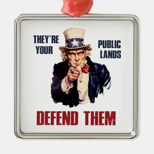 彼らは彼らを守る公の土地だサムおじさん メタルオーナメント (正面)