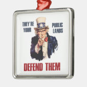 彼らは彼らを守る公の土地だサムおじさん メタルオーナメント (左)