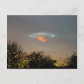 ......彼らは来た!!! ポストカード