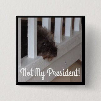 彼らは犬が悪い状態と善良な人を見分けることができることを言います 缶バッジ