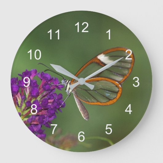 彼らは私を澄ん翼と呼ぶ ラージ壁時計 (正面)