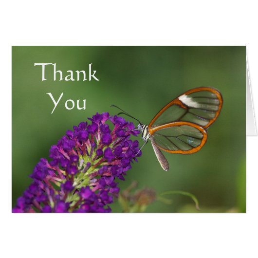 彼らは私を翼と呼澄んぶ (正面横)