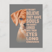 彼らもしは信じ魂を持っていない ポストカード (正面)
