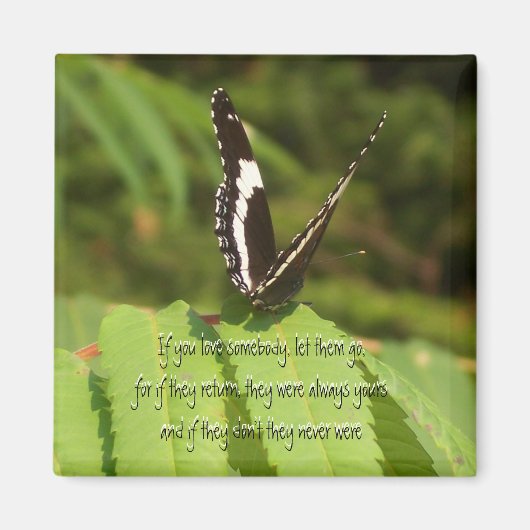 彼らを放せ マグネット (正面)