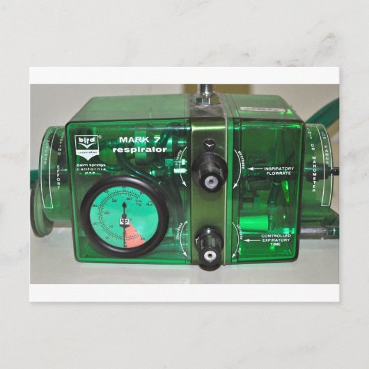 彼ら与えは鳥 – 換気装置 ポストカード (正面)