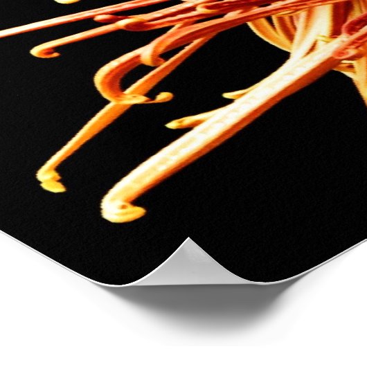 彼ら教えは私が命じたすべてのものに従うように ポスター (角)