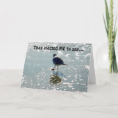 彼ら選は僕に誕生日を言う楽しむ カード (正面)