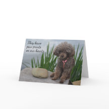 彼ら離れは私たちのハートペット悔やみや弔慰の上に足跡