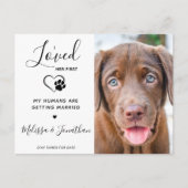 彼女が初めて愛した現代のペット 結婚式の犬の婚約 案内ポストカード (正面)
