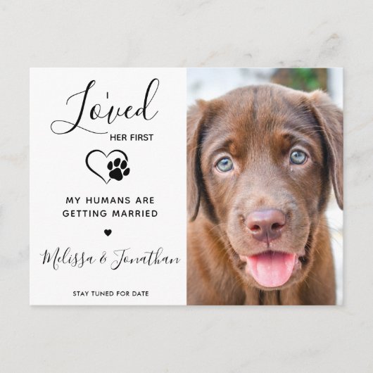 彼女が初めて愛した現代のペット 結婚式の犬の婚約 案内ポストカード (正面)