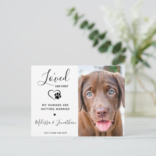 彼女が初めて愛した現代のペット 結婚式の犬の婚約 案内ポストカード (スタンド正面)