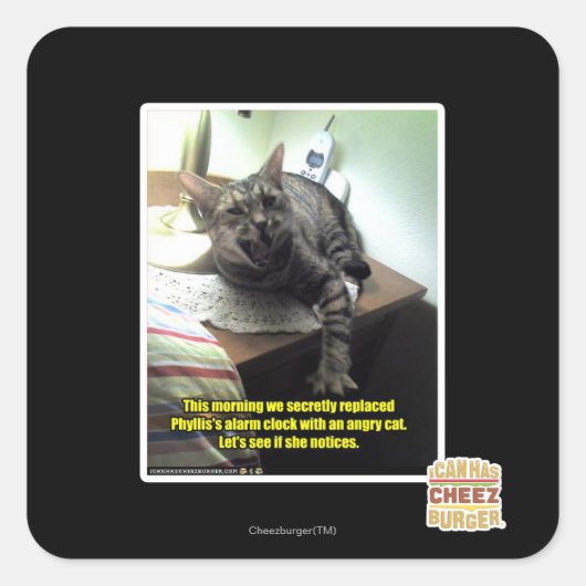 彼女が気づいもしてみよう。 スクエアシール (正面)