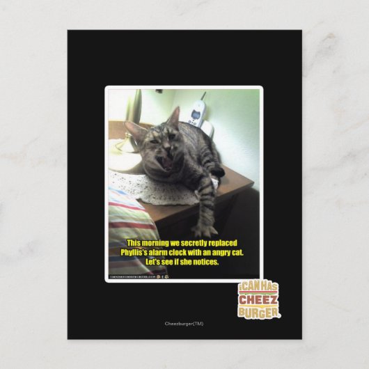 彼女が気づいもしてみよう。 ポストカード (正面)