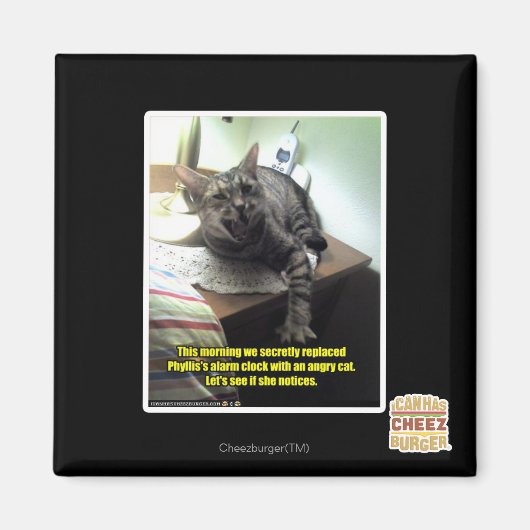 彼女が気づいもしてみよう。 マグネット (正面)