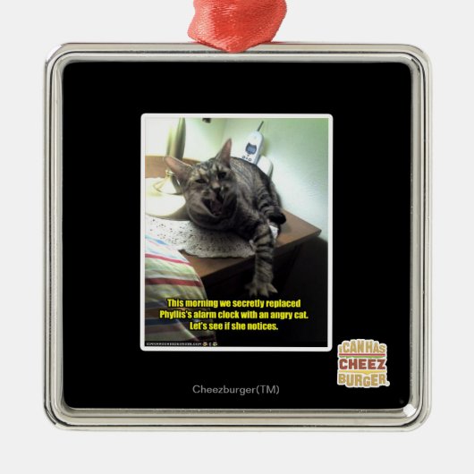 彼女が気づくかどうか見よう メタルオーナメント (正面)