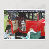 彼女が見ている私の夕食が… ポストカード (正面)