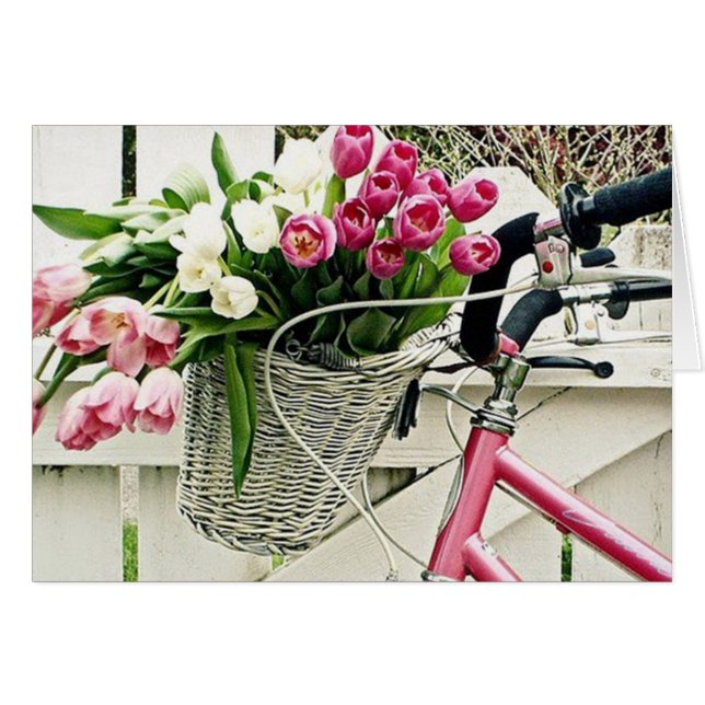 彼女のために作られた自転車 (正面横)