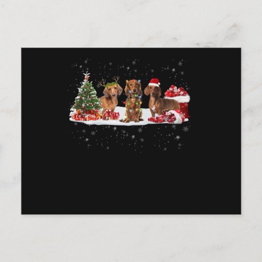 彼女のためのダックスフントのクリスマスライトギフト ポストカード (正面)