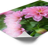 彼女のはがき フォトプリント            (角)