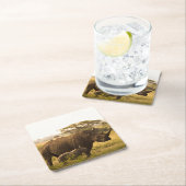 彼女のベビーとサイ スクエアペーパーコースター (インサイチュ)