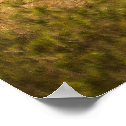 彼女のベビーとサイ ポスター (角)