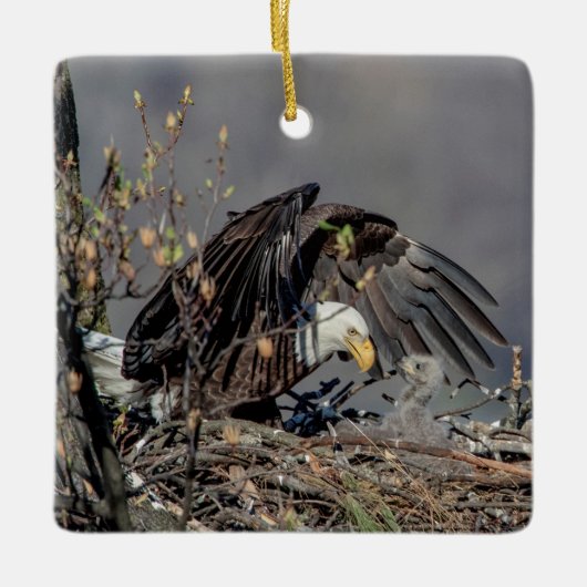 彼女のベビーとハゲ・イーグル セラミックオーナメント (正面)