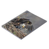 彼女のベビーとハゲ・イーグル ノートブック (左側)