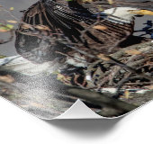 彼女のベビーと10x8 Bald Eagle フォトプリント (角)