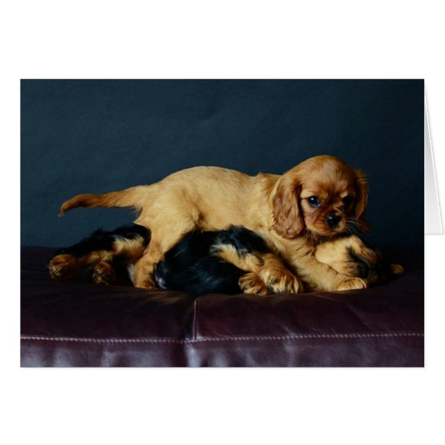 彼女の兄弟を打ちのめしているルーシー (正面横)