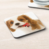 彼女の口の赤い車を持つチャールズ王スパニエル犬 コースター (左側)