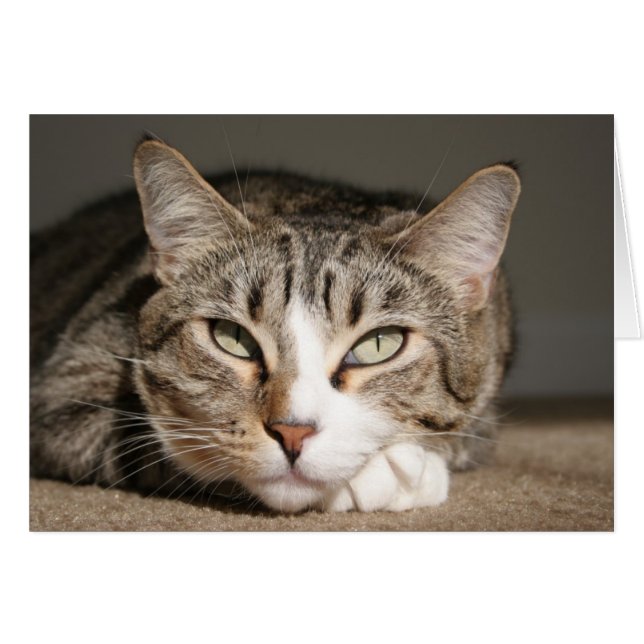 彼女の名前はアジアです (正面横)