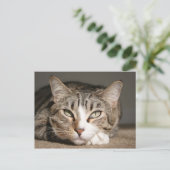 彼女の名前はアジアです ポストカード (スタンド正面)