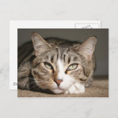 彼女の名前はアジアです ポストカード (正面/裏面)