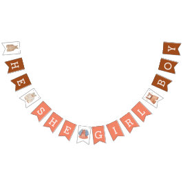 彼女の女の子の男の子ジェンダーは茶色のサンゴを明かす バンティングフラッグ