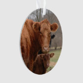 彼女の子牛を持つ赤い牛 オーナメント (正面)