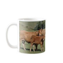 彼女の子牛を舐めている牛